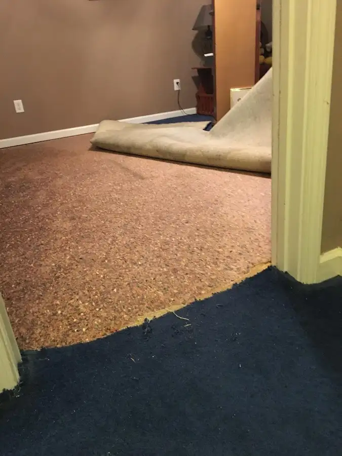 Carpet pad removal revealing water damage during Drying & Dehumidification in Benton Park