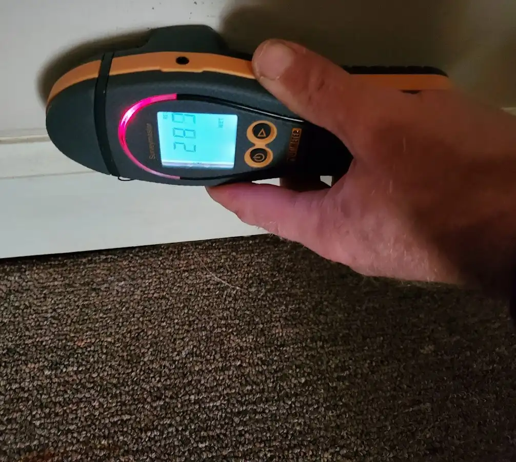 Moisture detection at baseboard during Mold Inspection & Testing in Benton Park
